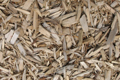 biomass boilers Shepperdine